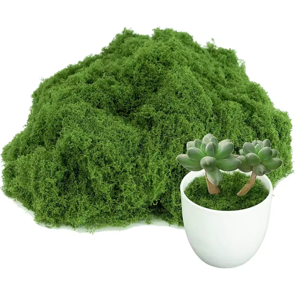 500/30G Artificial Green Plants Eternal Life Moss Mini Landscape Fake