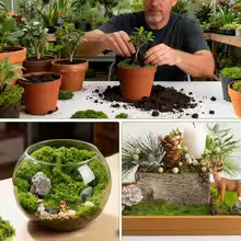 500/30G Artificial Green Plants Eternal Life Moss Mini Landscape Fake
