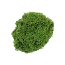 500/30G Artificial Green Plants Eternal Life Moss Mini Landscape Fake