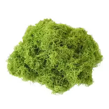 500/30G Artificial Green Plants Eternal Life Moss Mini Landscape Fake